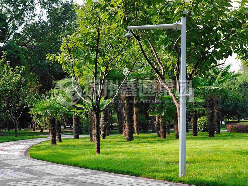 DJG-022，電子警察桿，八棱懸臂球機桿